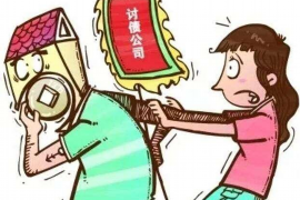 涿鹿为什么选择专业追讨公司来处理您的债务纠纷？